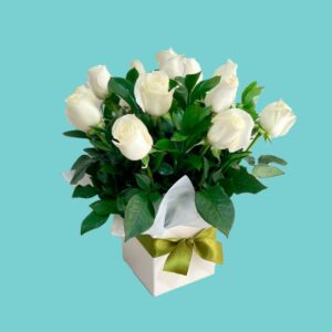 Arreglo floral en primer plano con doce rosas blancas frescas dispuestas en forma de cúpula sobre hojas verdes brillantes. Las flores están dentro de una caja cúbica blanca decorada con un lazo de satén verde oliva, todo sobre un fondo de color azul turquesa sólido.