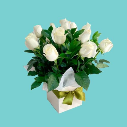 Arreglo floral en primer plano con doce rosas blancas frescas dispuestas en forma de cúpula sobre hojas verdes brillantes. Las flores están dentro de una caja cúbica blanca decorada con un lazo de satén verde oliva, todo sobre un fondo de color azul turquesa sólido.
