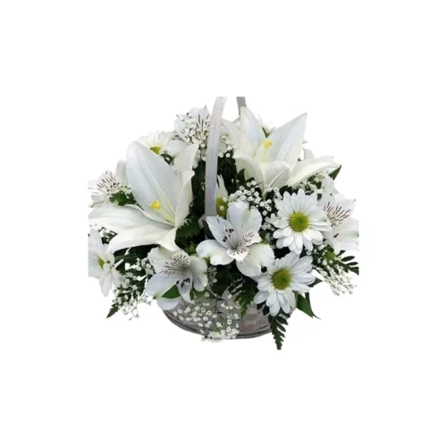 Fotografía de un canasto de mimbre delicado que contiene un arreglo floral de cinco liliums blancos grandes y cinco margaritas de pétalos blancos con centro amarillo, rodeados de follaje verde fino y silvestre sobre un fondo luminoso neutro